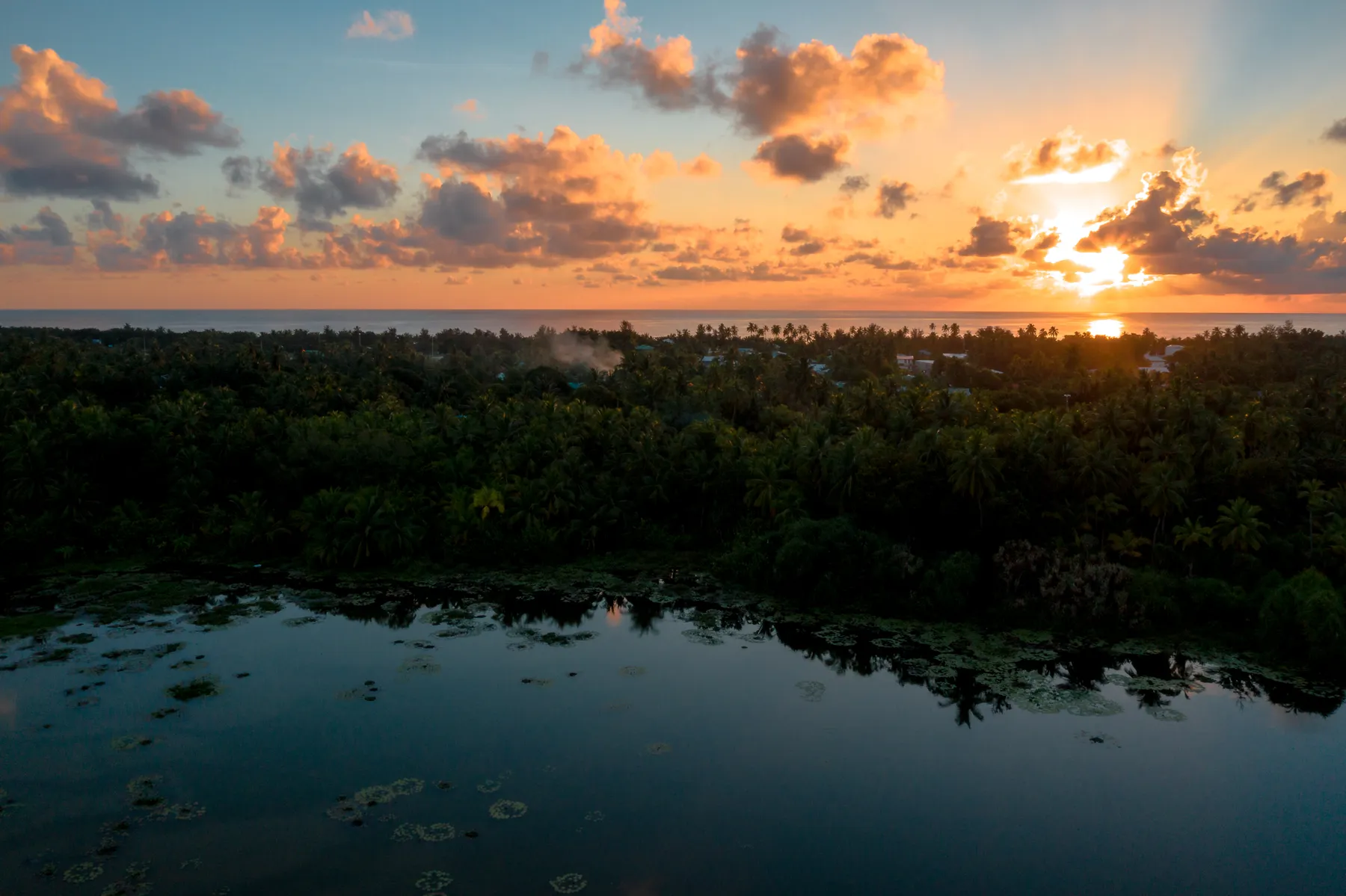 Aerial view of a golden sunset over a tropical coastline dotted with palm trees