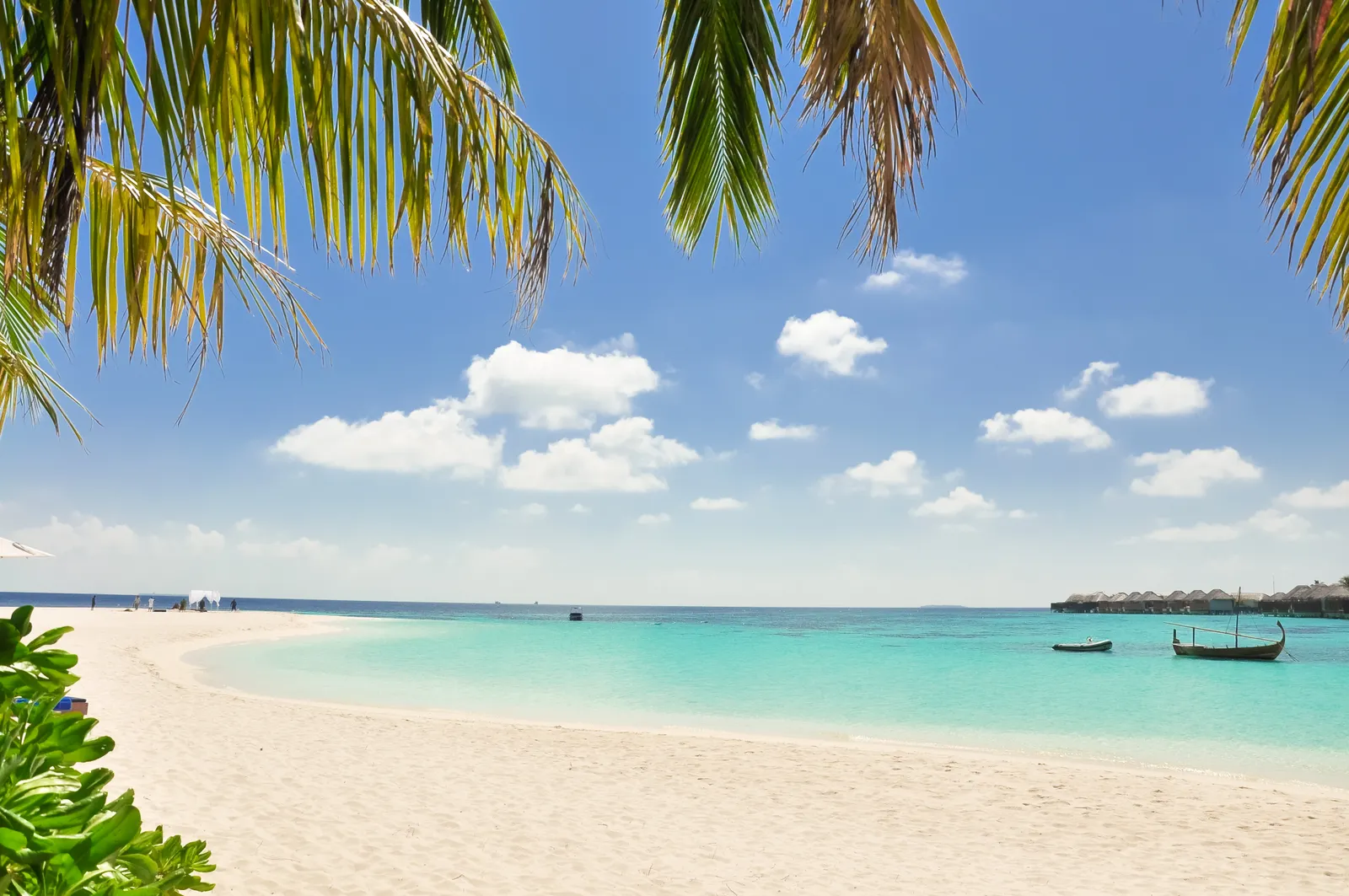 Overwater bungalows and a palm-fringed white sand beach at a tropical resort