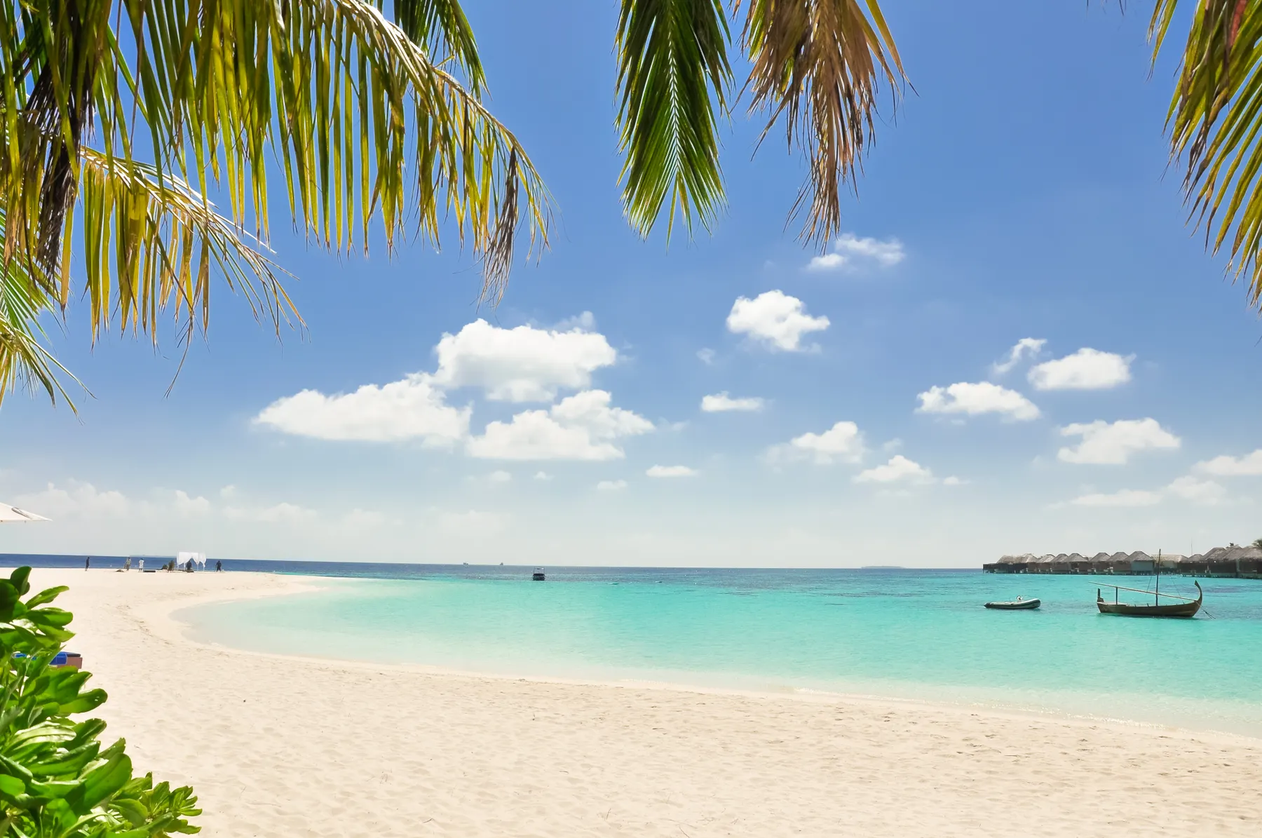 Overwater bungalows and a palm-fringed white sand beach at a tropical resort
