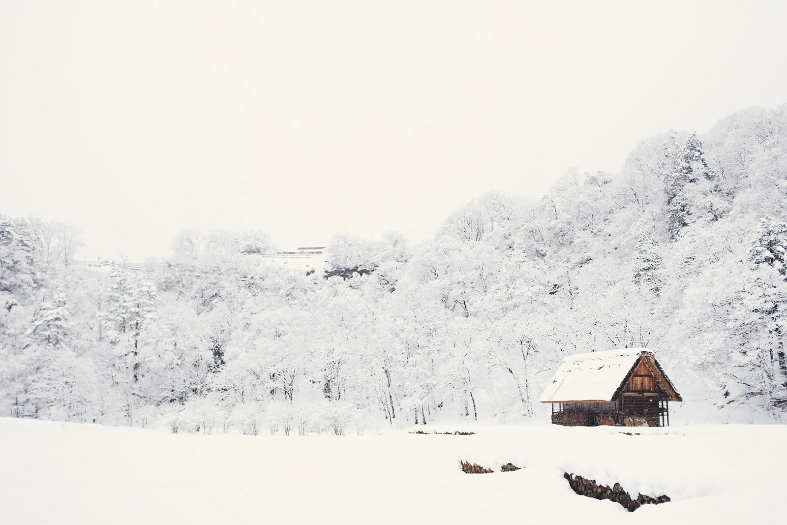 Snowy cabin