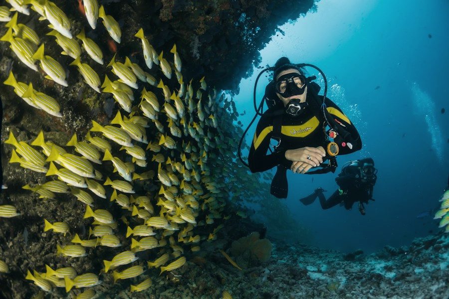 Snorkeling with tropical fish